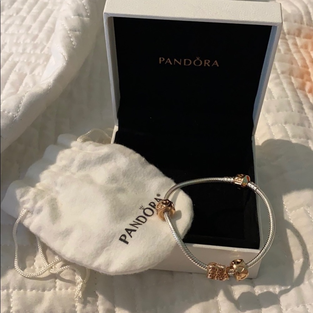 Pandora Bracelet